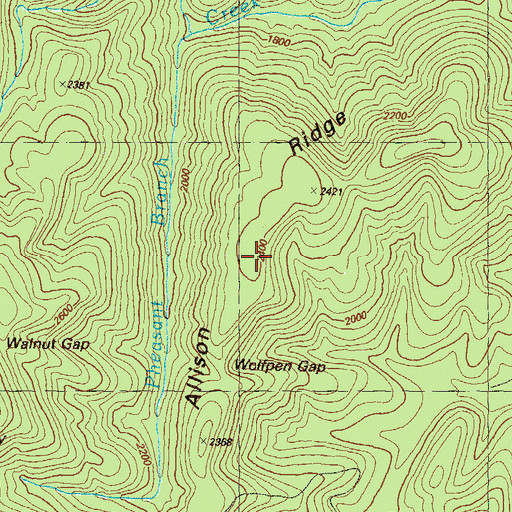 Topographic Map of Allison Ridge, GA