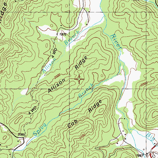 Topographic Map of Allison Ridge, GA