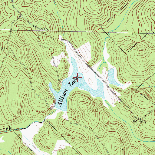 Topographic Map of Allisons Lake, GA