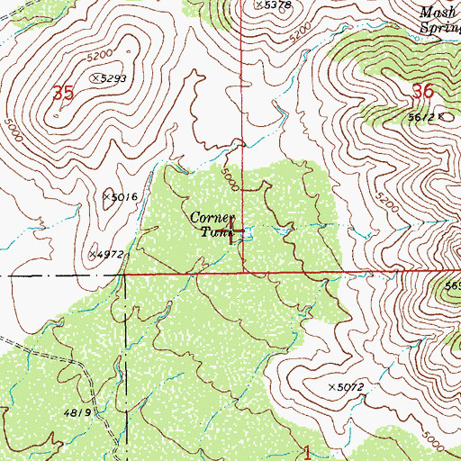 Topographic Map of Corner Tank, AZ