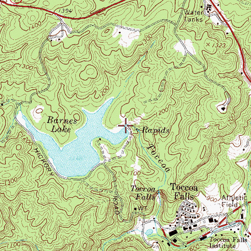 Topographic Map of Barnes Lake, GA