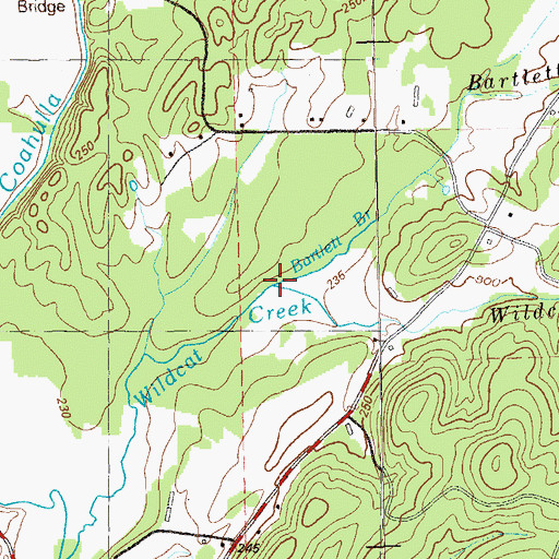 Topographic Map of Bartlett Branch, GA