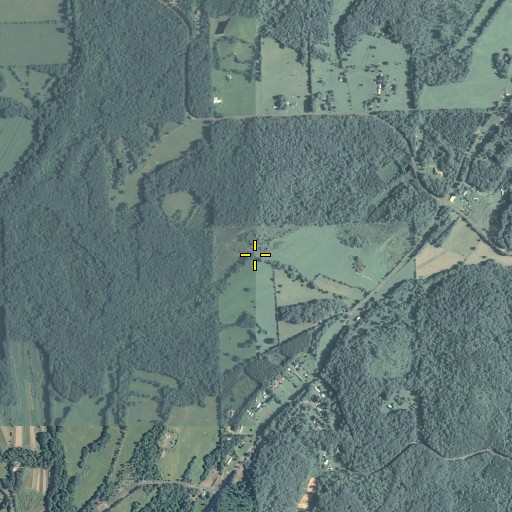 Aerial/Satellite Image of Bartlett Branch, GA