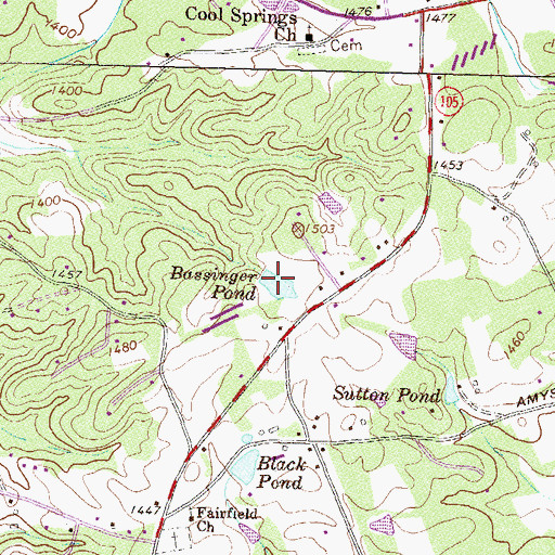 Topographic Map of Bassinger Pond, GA