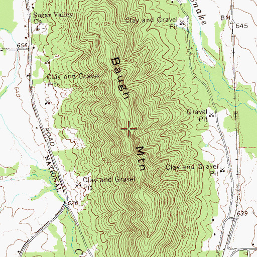 Topographic Map of Baugh Mountain, GA