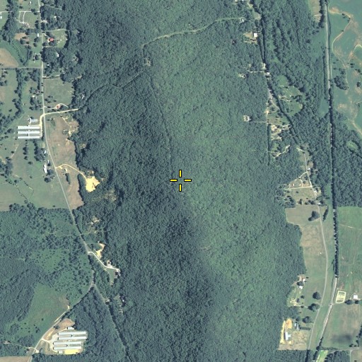 Aerial/Satellite Image of Baugh Mountain, GA