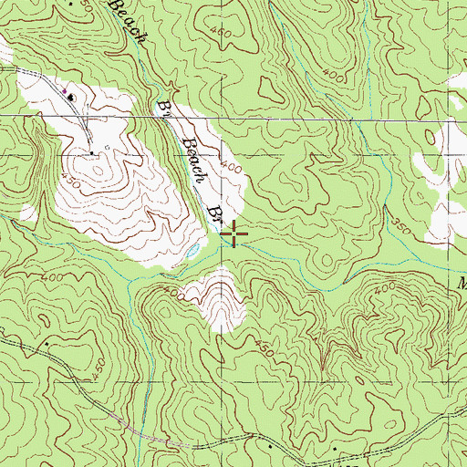 Topographic Map of Beach Branch, GA
