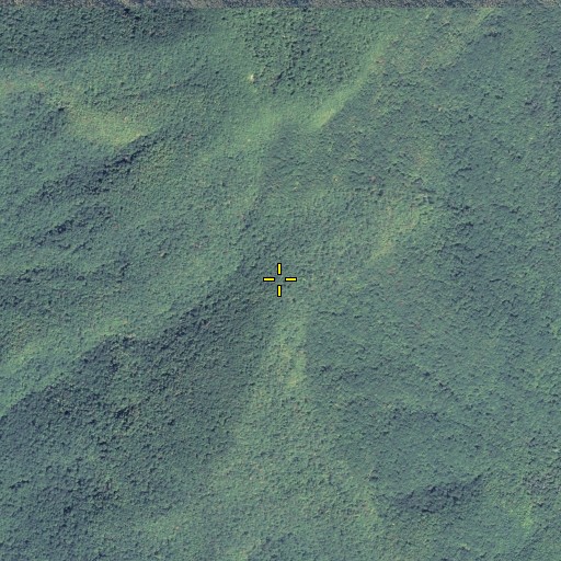 Aerial/Satellite Image of Bear Gap, GA