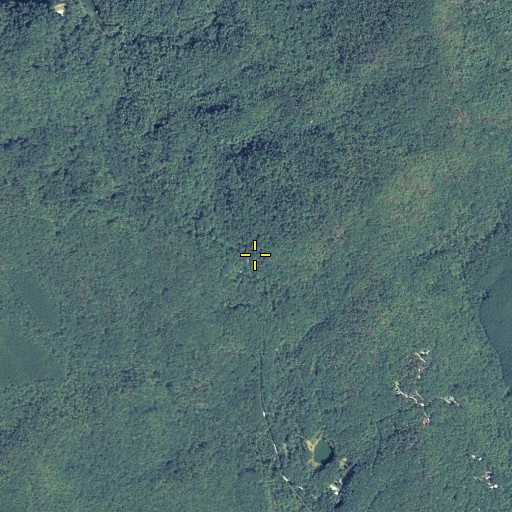Aerial/Satellite Image of Bear Gap, GA