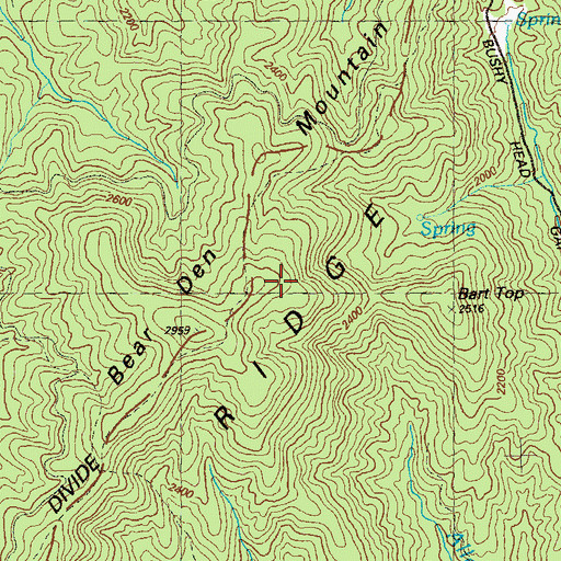 Topographic Map of Bear Den Mountain, GA
