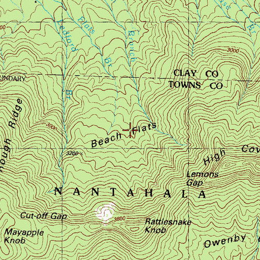 Topographic Map of Beech Flats, GA