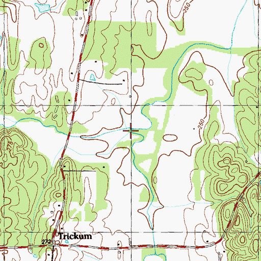 Topographic Map of Bell Branch, GA
