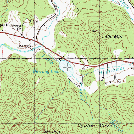 Topographic Map of Berrong Lake, GA