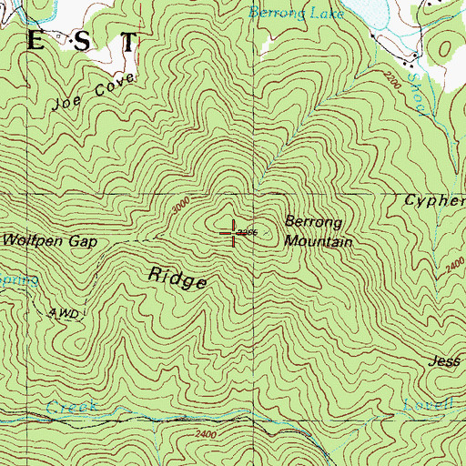 Topographic Map of Berrong Mountain, GA