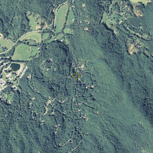Aerial/Satellite Image of Berry Branch, GA