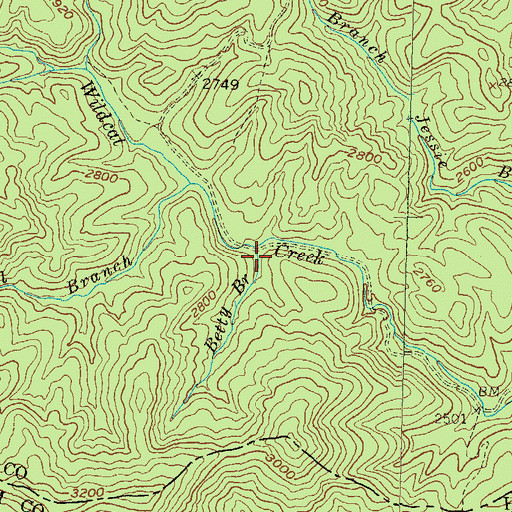 Topographic Map of Betty Branch, GA