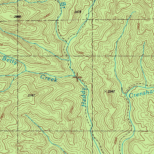 Topographic Map of Betty Creek, GA