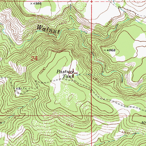 Topographic Map of Pasture Tank, AZ