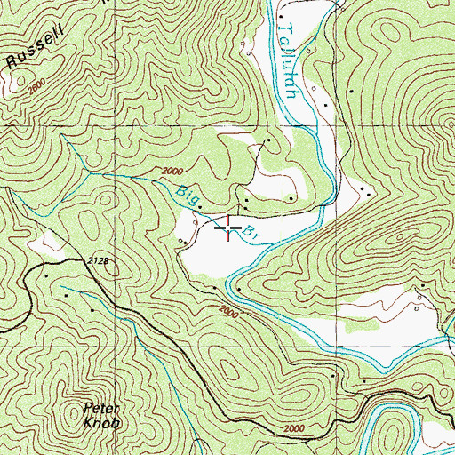 Topographic Map of Big Branch, GA