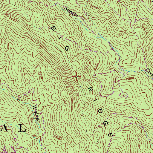 Topographic Map of Big Ridge, GA