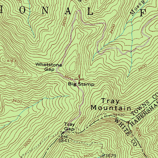 Topographic Map of Big Stamp, GA