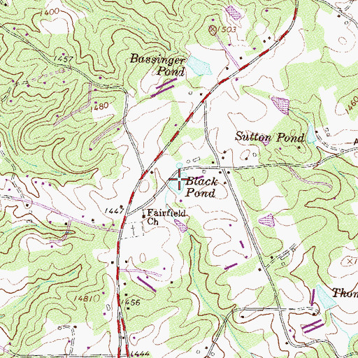 Topographic Map of Black Pond, GA