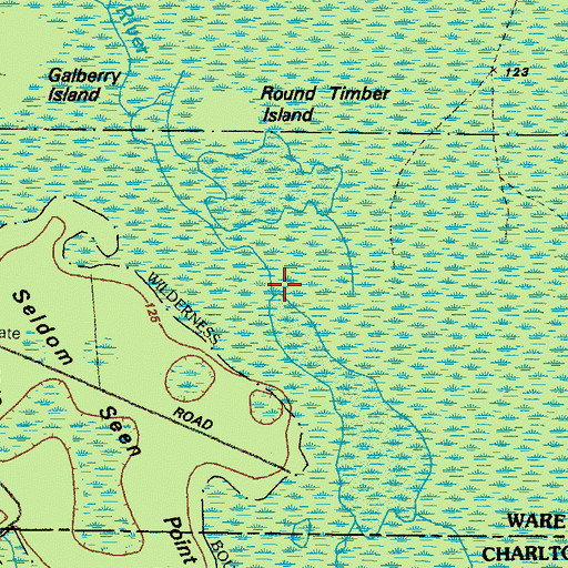 Topographic Map of Black River, GA