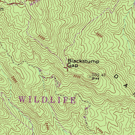 Topographic Map of Blackstump Gap, GA