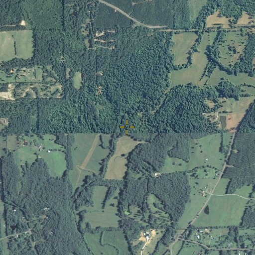Aerial/Satellite Image of Blue Branch, GA