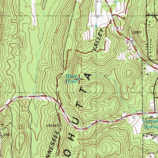 Topographic Map of Blue Hole, GA