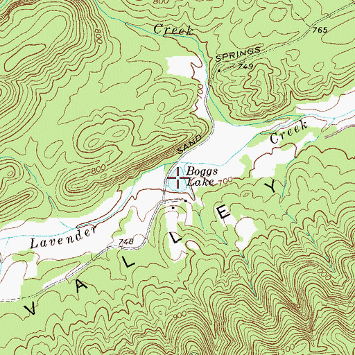 Topographic Map of Boggs Lake, GA