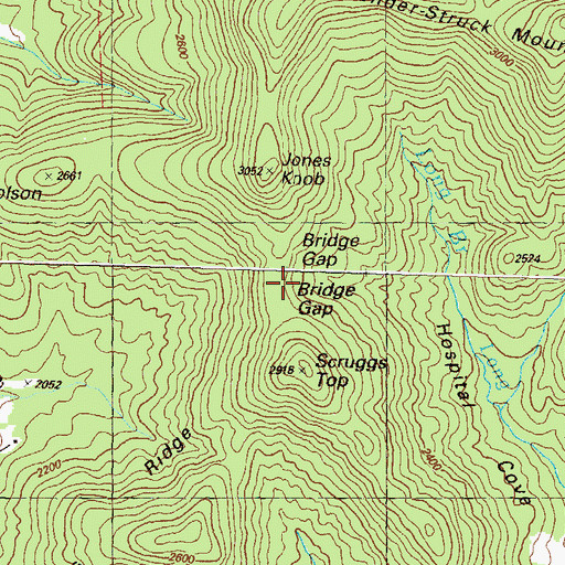 Topographic Map of Bridge Gap, GA