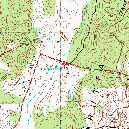 Topographic Map of Bridges Spring, GA