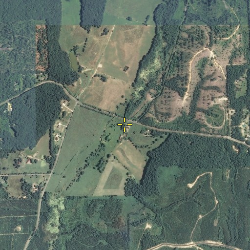 Aerial/Satellite Image of Bridges Spring, GA