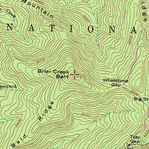 Topographic Map of Brier Creek Bald, GA