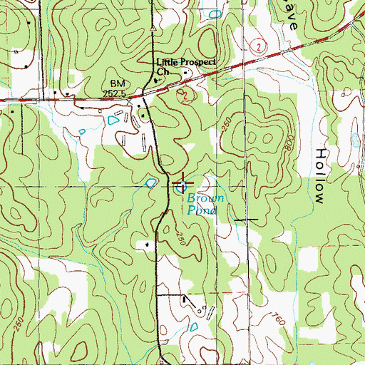 Topographic Map of Brown Pond, GA