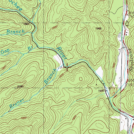 Topographic Map of Bruner Branch, GA