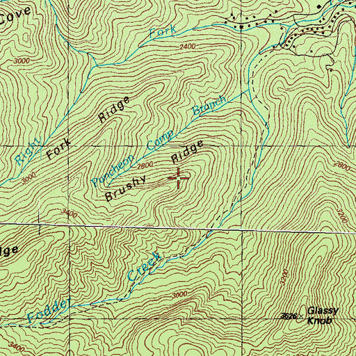 Topographic Map of Brushy Ridge, GA