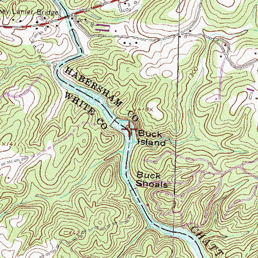 Topographic Map of Buck Island, GA