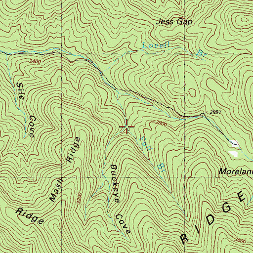 Topographic Map of Buckeye Cove, GA