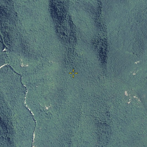 Aerial/Satellite Image of Bull Gap, GA