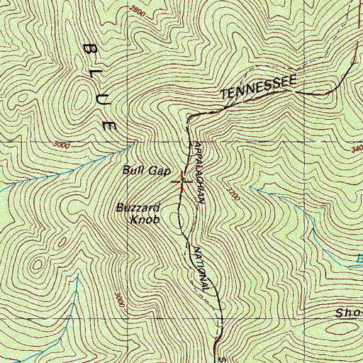 Topographic Map of Bull Gap, GA