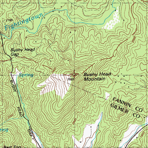 Topographic Map of Bushy Head Mountain, GA