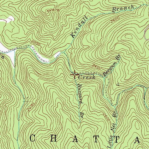 Topographic Map of Buzzard Branch, GA