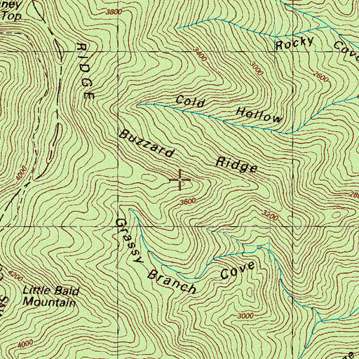 Topographic Map of Buzzard Ridge, GA