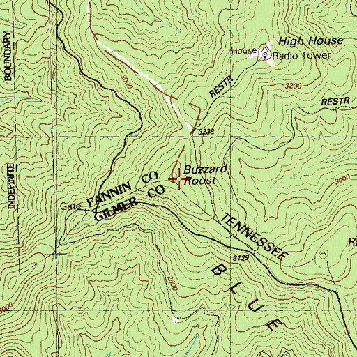 Topographic Map of Buzzard Roost, GA