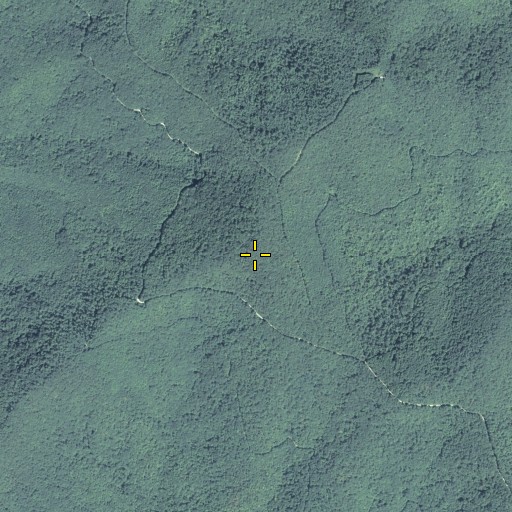 Aerial/Satellite Image of Buzzard Roost, GA