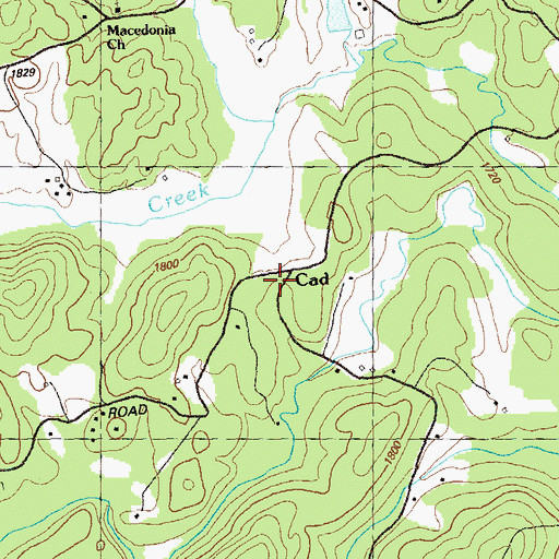 Topographic Map of Cad, GA