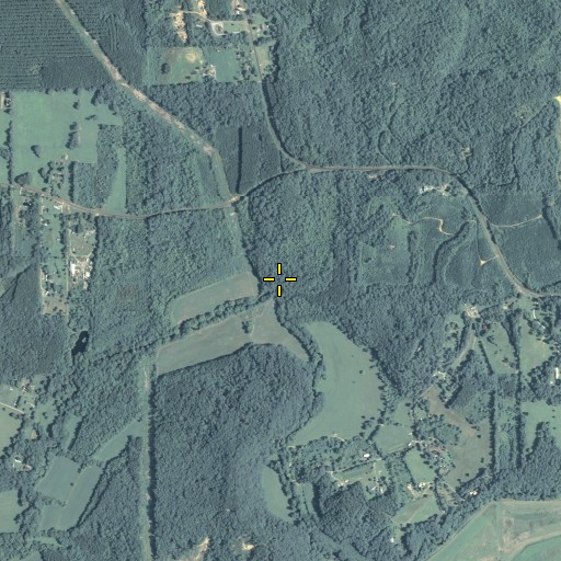 Aerial/Satellite Image of Campbell Branch, GA