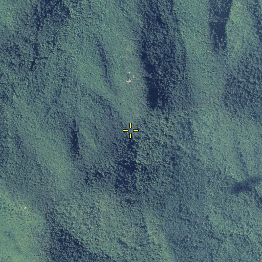 Aerial/Satellite Image of Cane Gap, GA